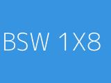 BSW 1X8